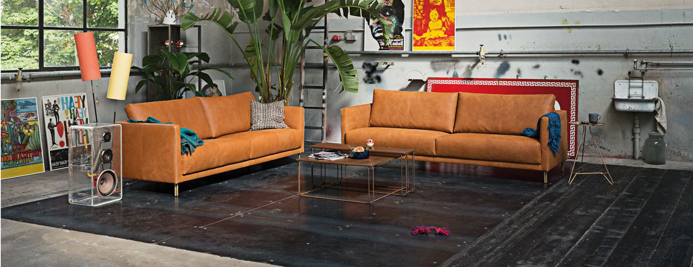 Freistil - Rolf Benz 133 sofa in cognac leather with double steel legs in pearl gold finish