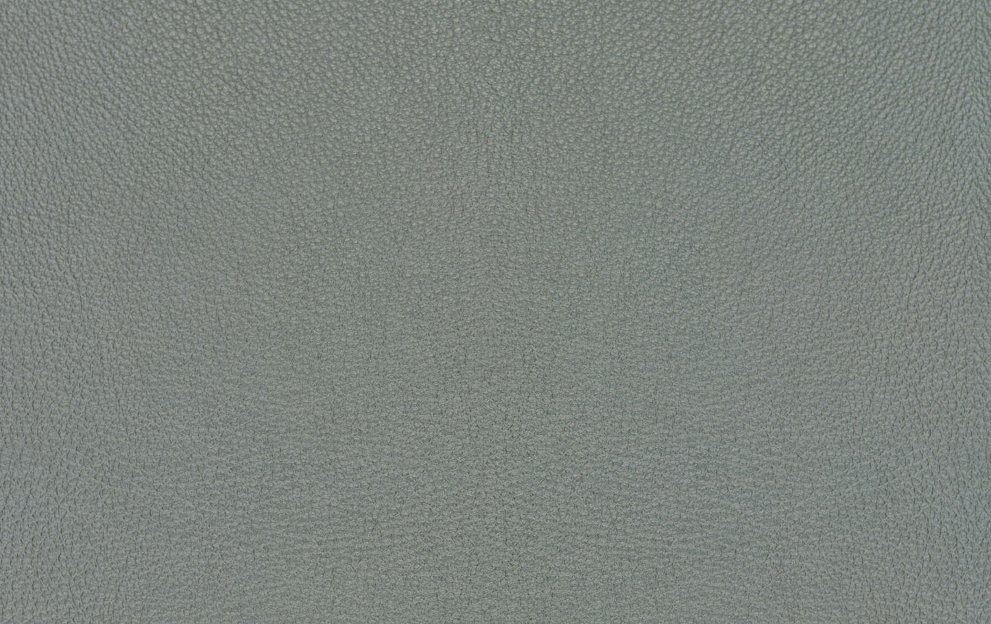 Freistil Rolf Benz Squirrel Grey Leather