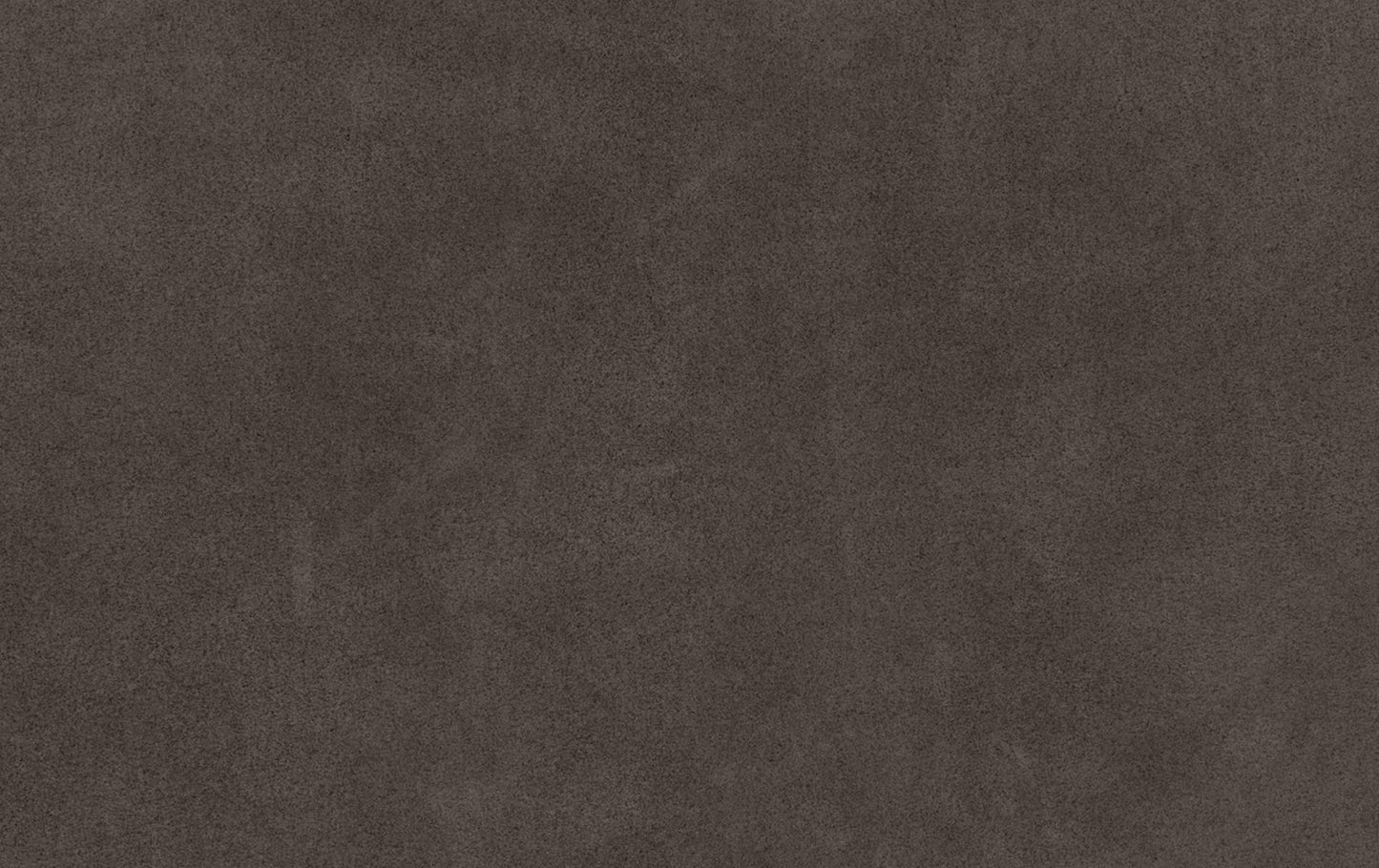 Freistil Rolf Benz Umbra Grey Leather Detail